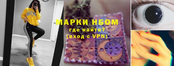 молекула духа Гусиноозёрск