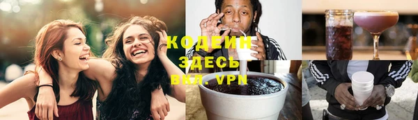 эйфоретик Гусь-Хрустальный
