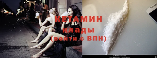 эйфоретик Гусь-Хрустальный