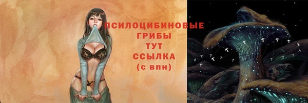 молекула духа Гусиноозёрск