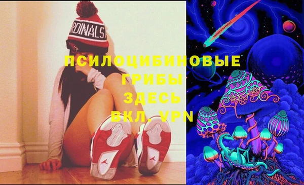 молекула духа Гусиноозёрск
