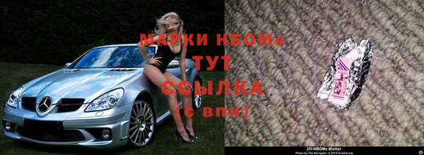 эйфоретик Гусь-Хрустальный
