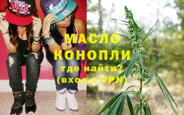 эйфоретик Гусь-Хрустальный