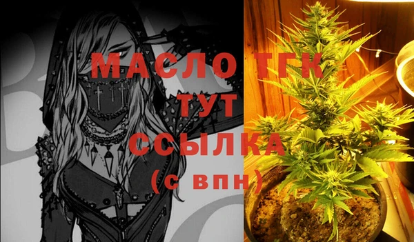молекула духа Гусиноозёрск