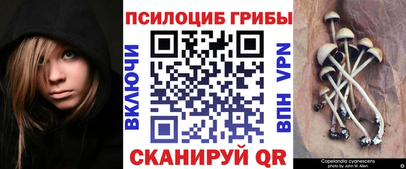 Купить закладки  Рассказово  Псилоцибиновые грибы прущие грибы 